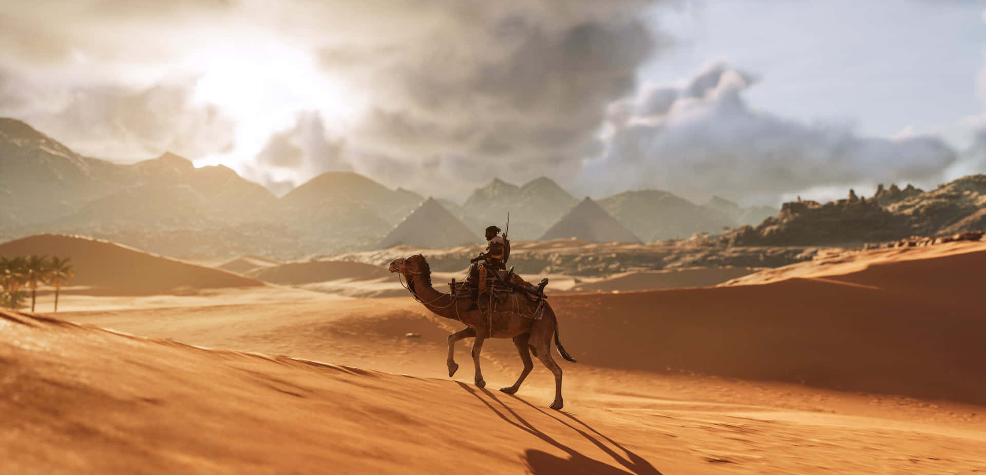 Emcima De Uma Duna De Areia, Majestoso Camelo