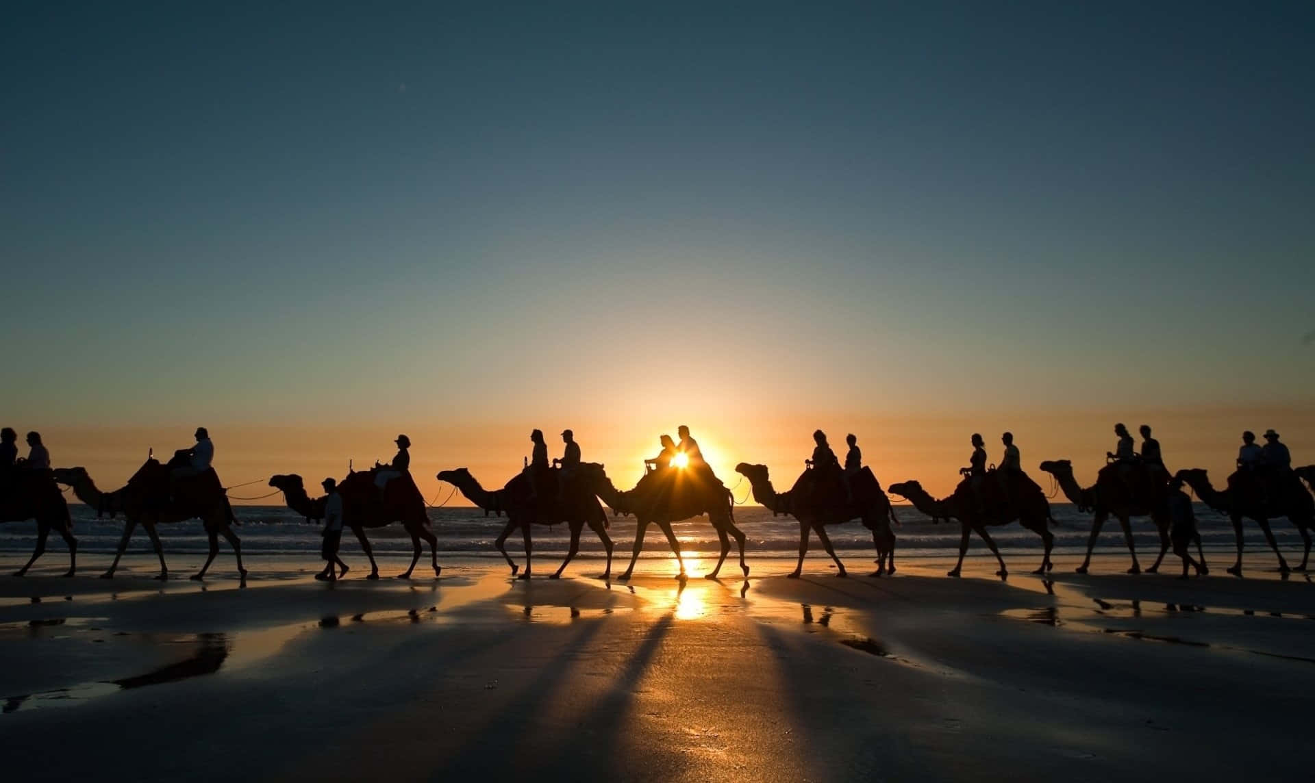 "One in a million - enjoy the serenity of a camel in the desert."