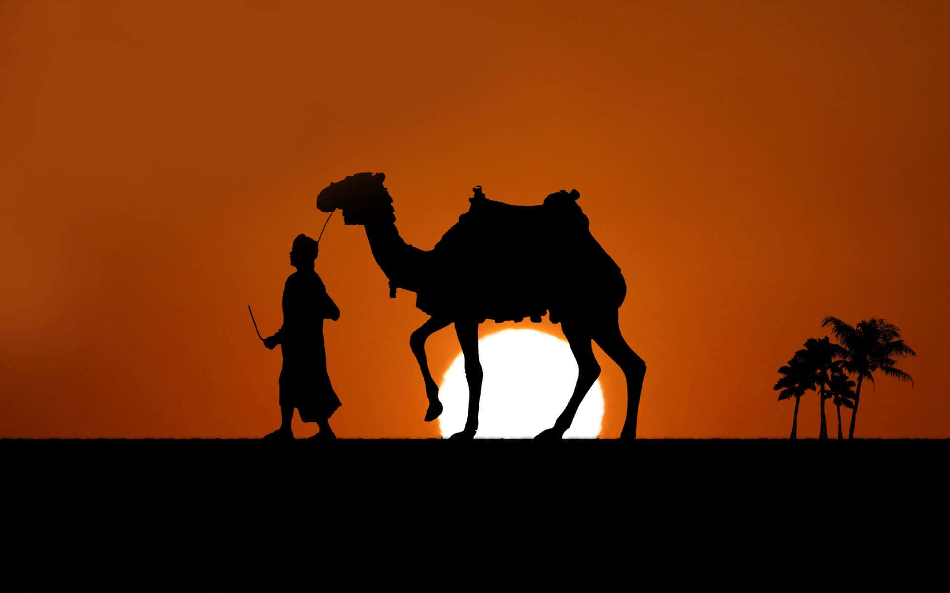 Unmajestuoso Camello Parado Solo En El Desierto.