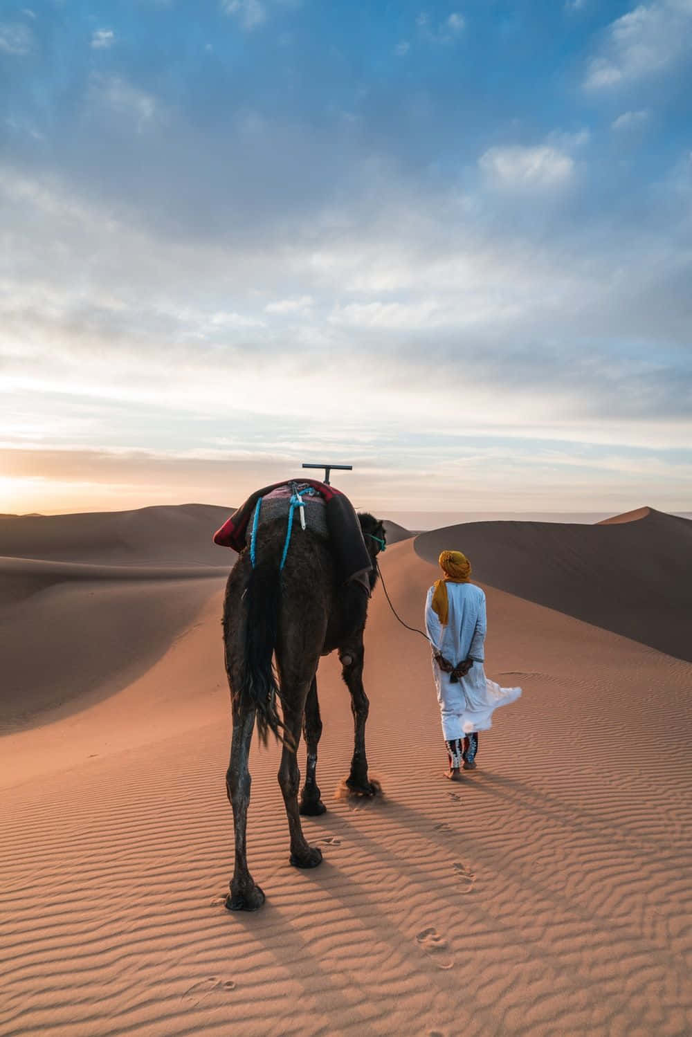 Einmajestätisches Kamel Steht Stolz In Der Wüstenlandschaft.