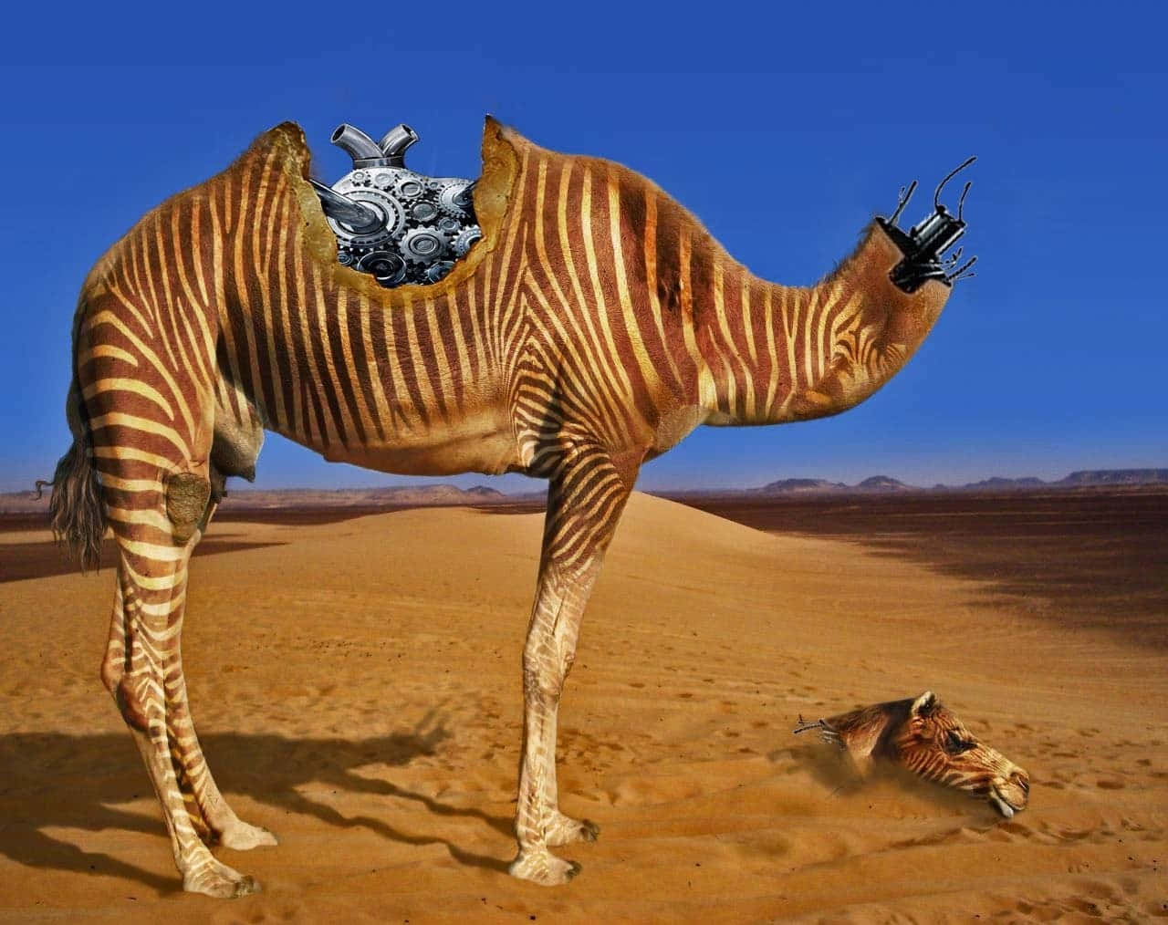 Imagenen Primer Plano De Un Camello Caminando Por El Desierto.