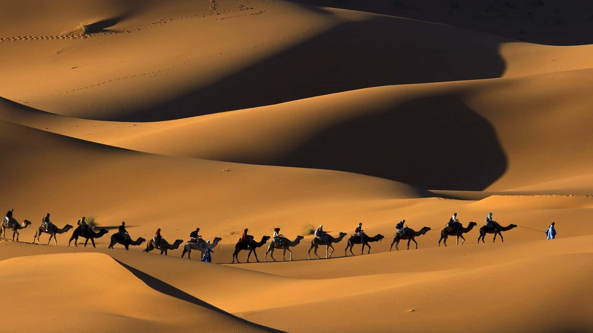 Einbild Von Einem Majestätischen Kamel, Das In Einer Sandigen Wüste Steht.