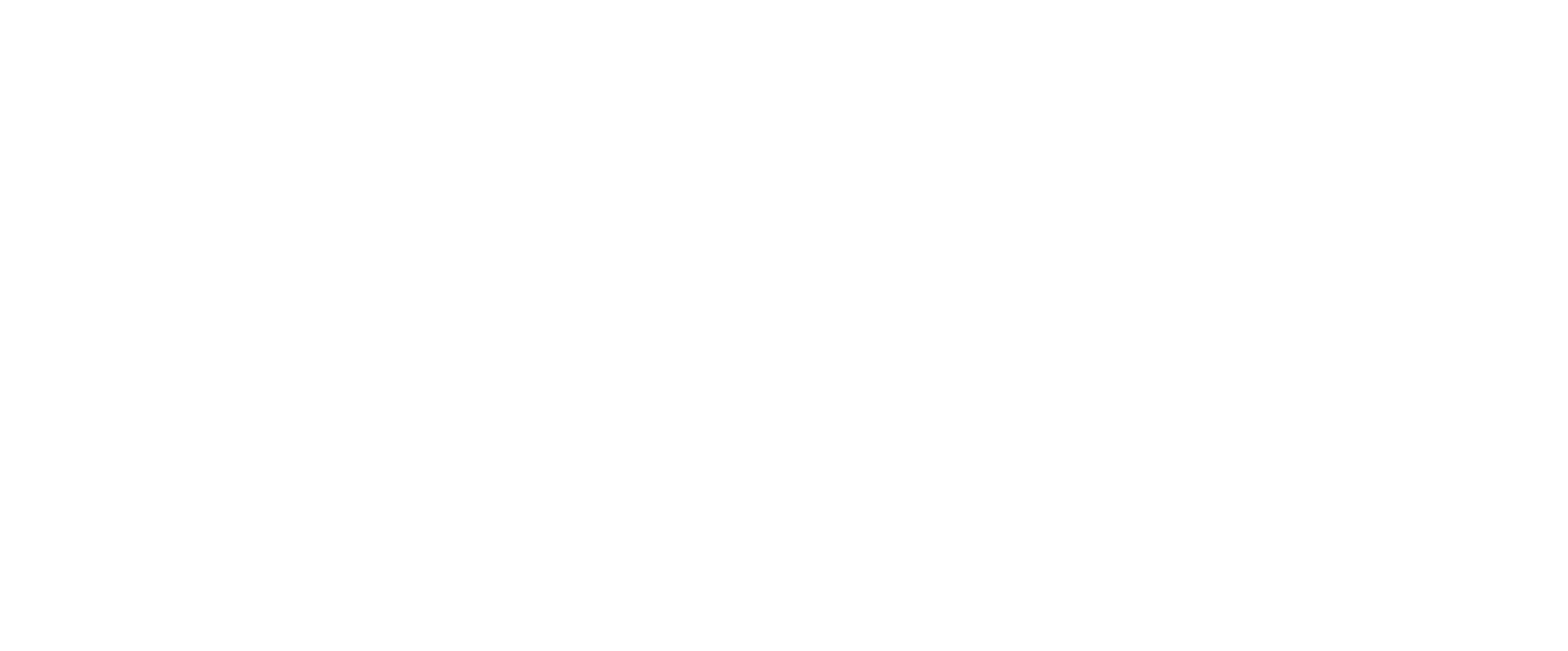Camel Connections Logo PNG