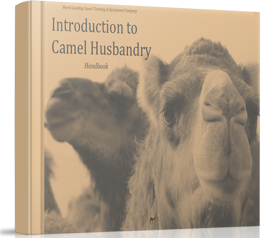 Camel Husbandry Handbook Cover PNG