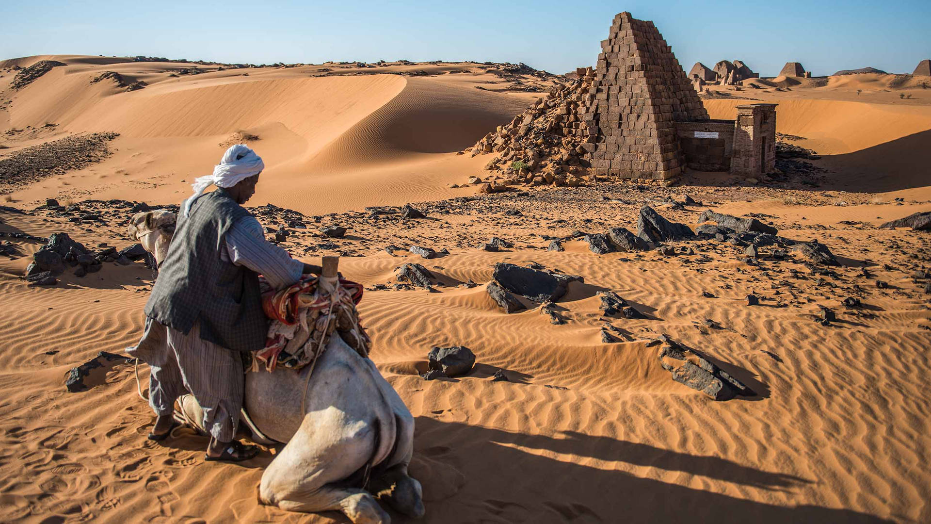 Kamelin Der Wüste Sudans. Wallpaper