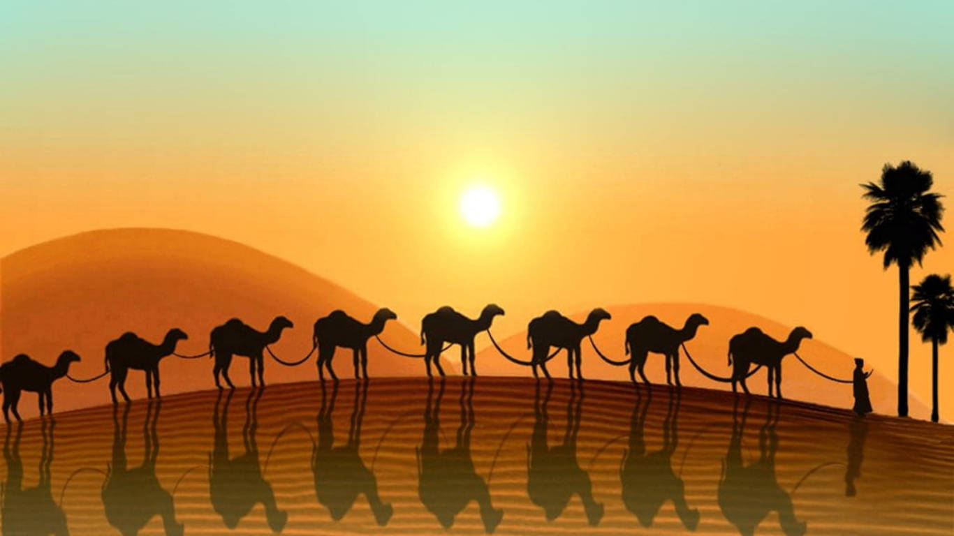 Camel Line Desert Sun Wallpaper