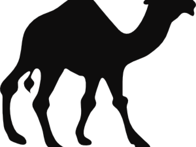 Camel Silhouette Graphic PNG