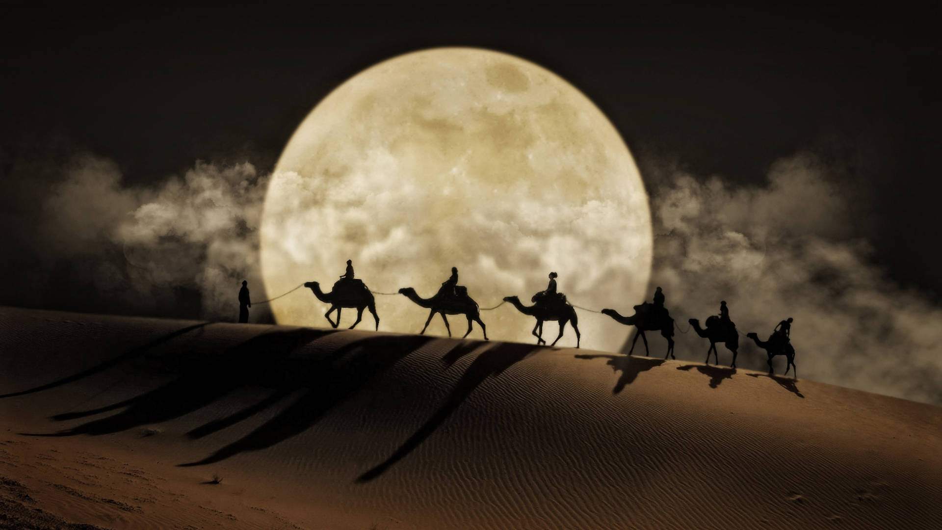 Serene Desert View: Extravagant Camel Silhouettes in a Dazzling Sunset Wallpaper