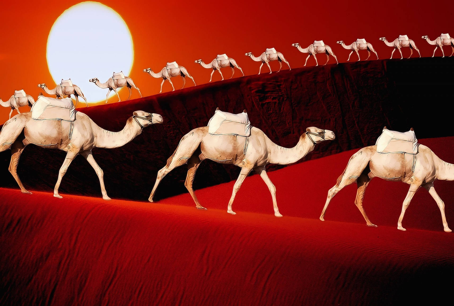 Camels Digital Art Wallpaper