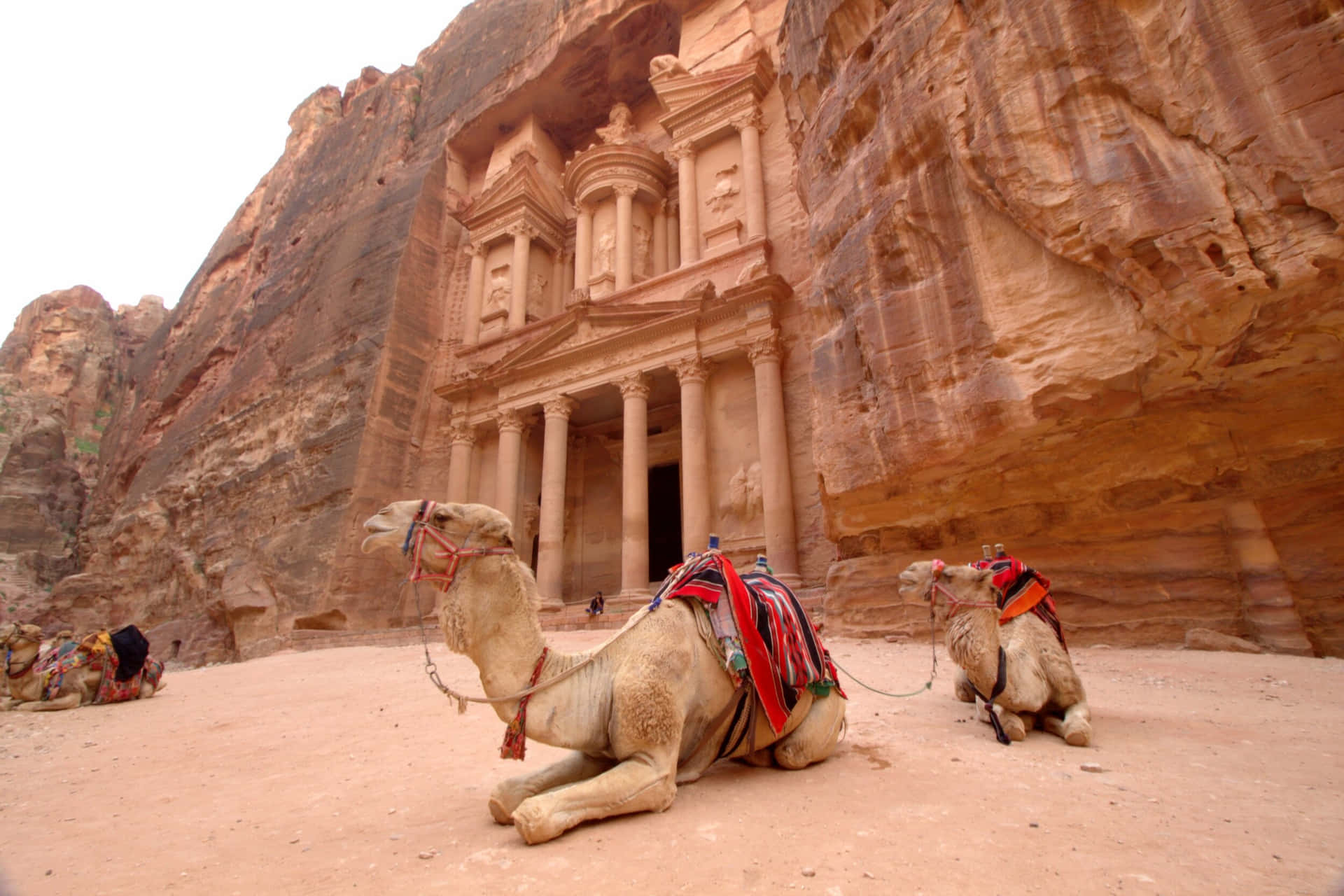 Kameleri Den Arkeologiska Platsen Petra. Wallpaper