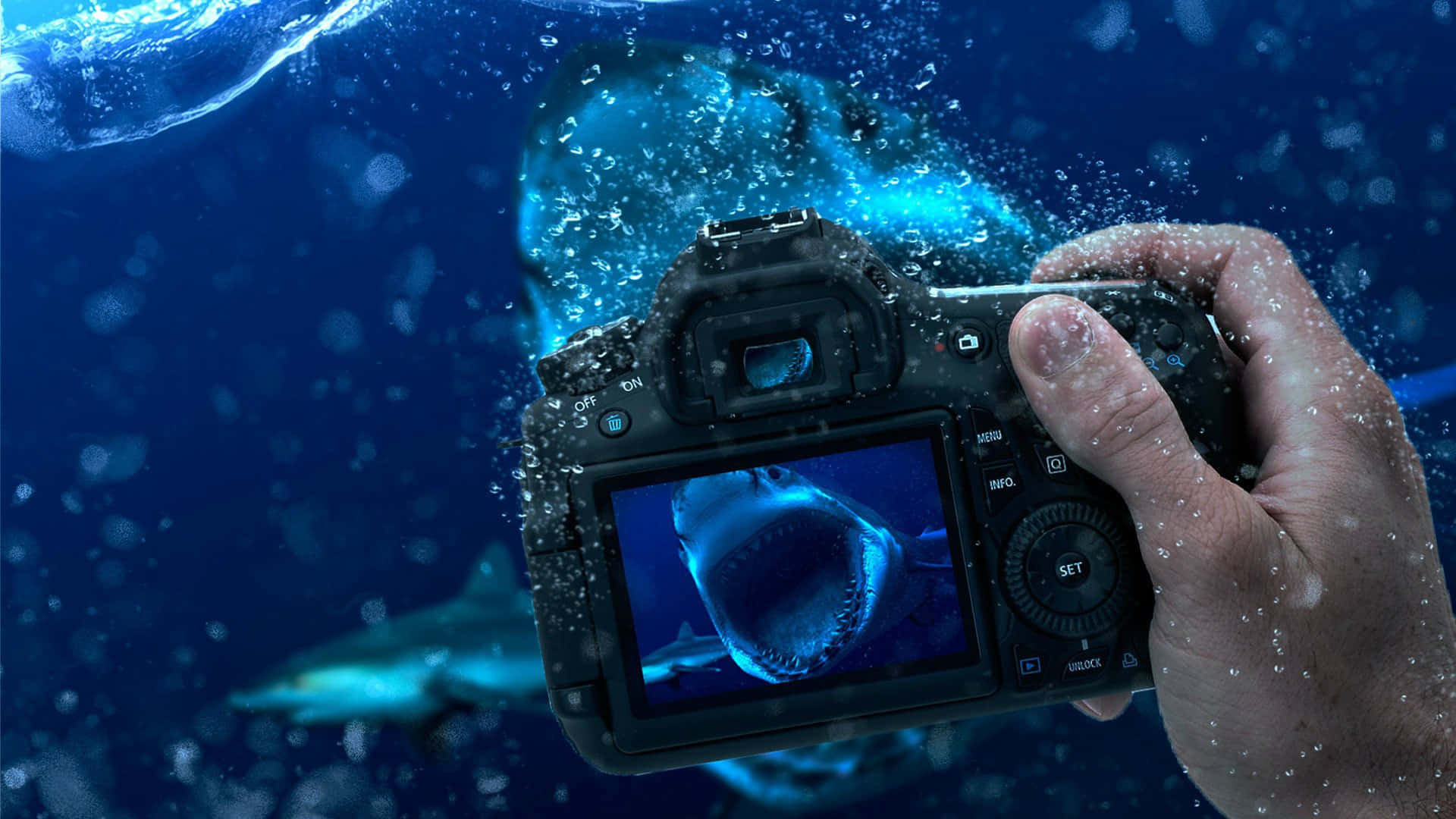 Capture the moments that matter with a high-quality camera.
