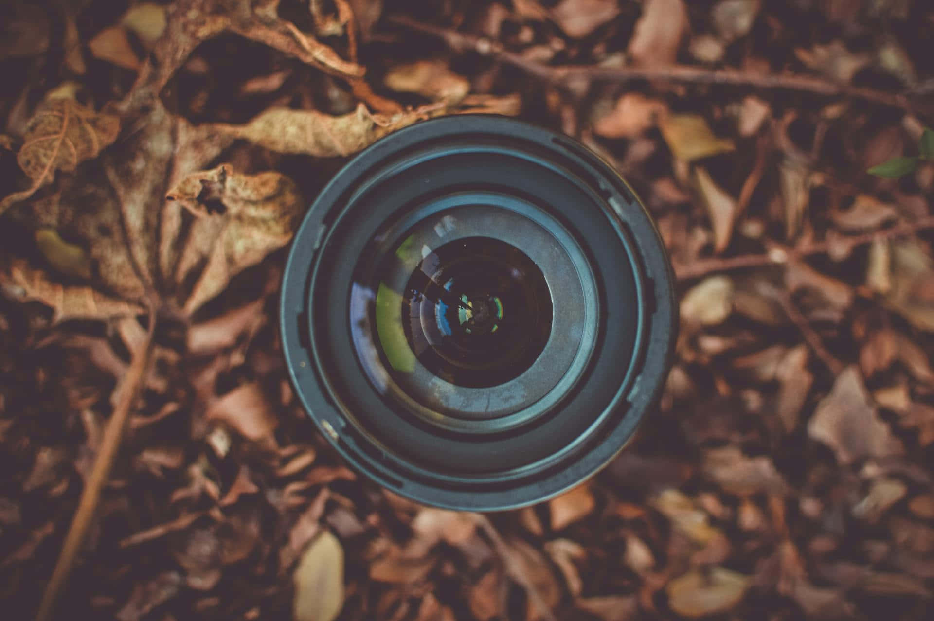 Camera Lens Among Fall Leaves Wallpaper