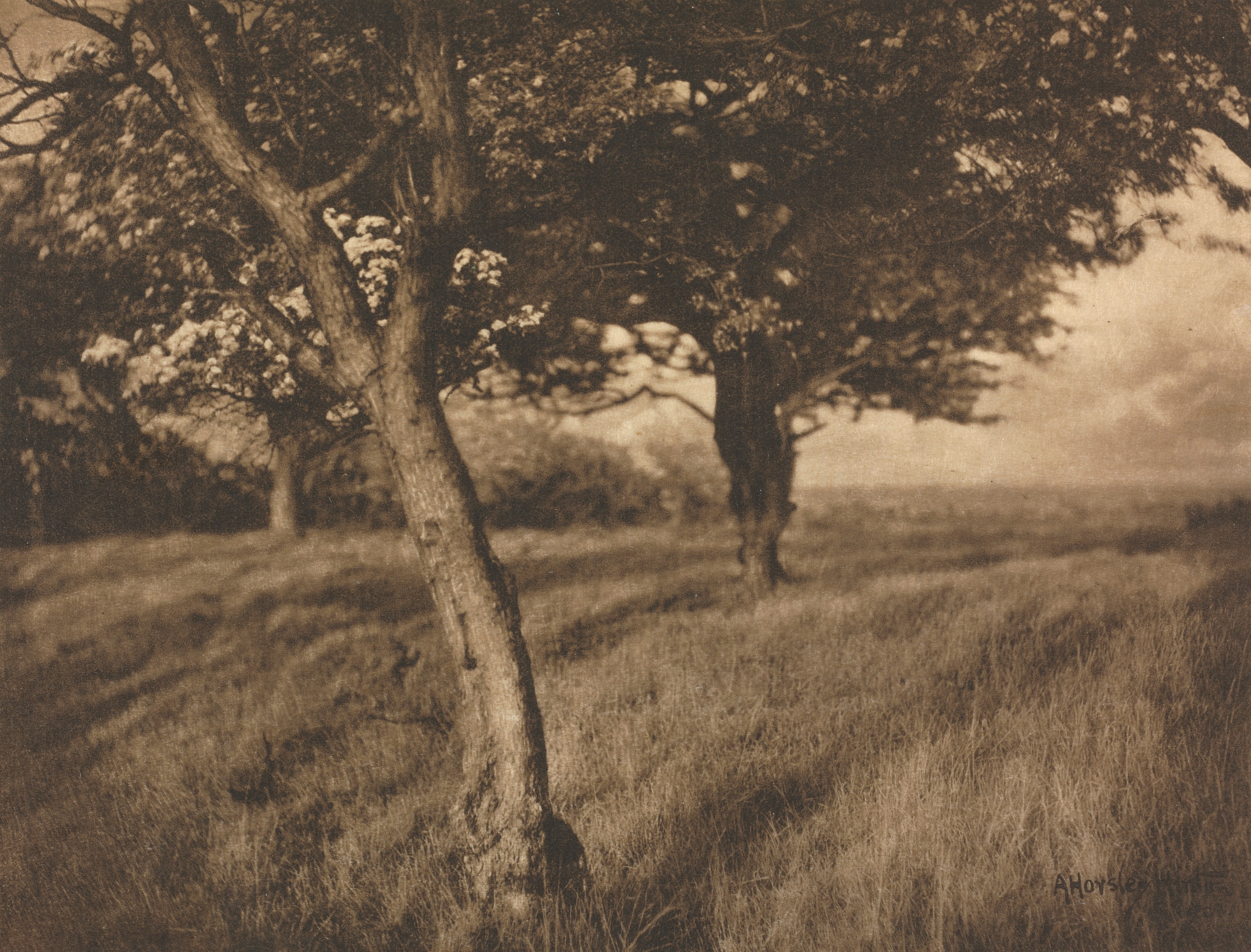 Camera Work: Beyond Wallpaper