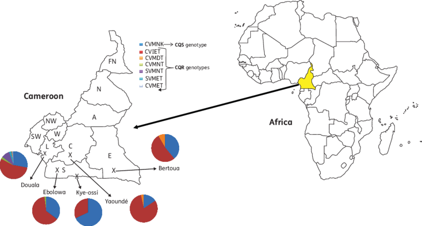 Cameroon Economic Indicators Africa Map PNG