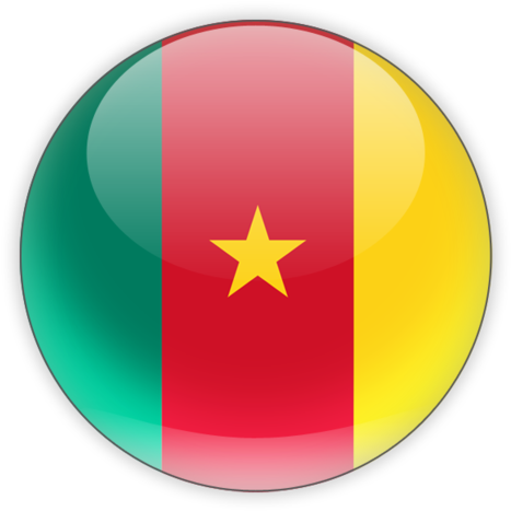 Cameroon Flag Button PNG