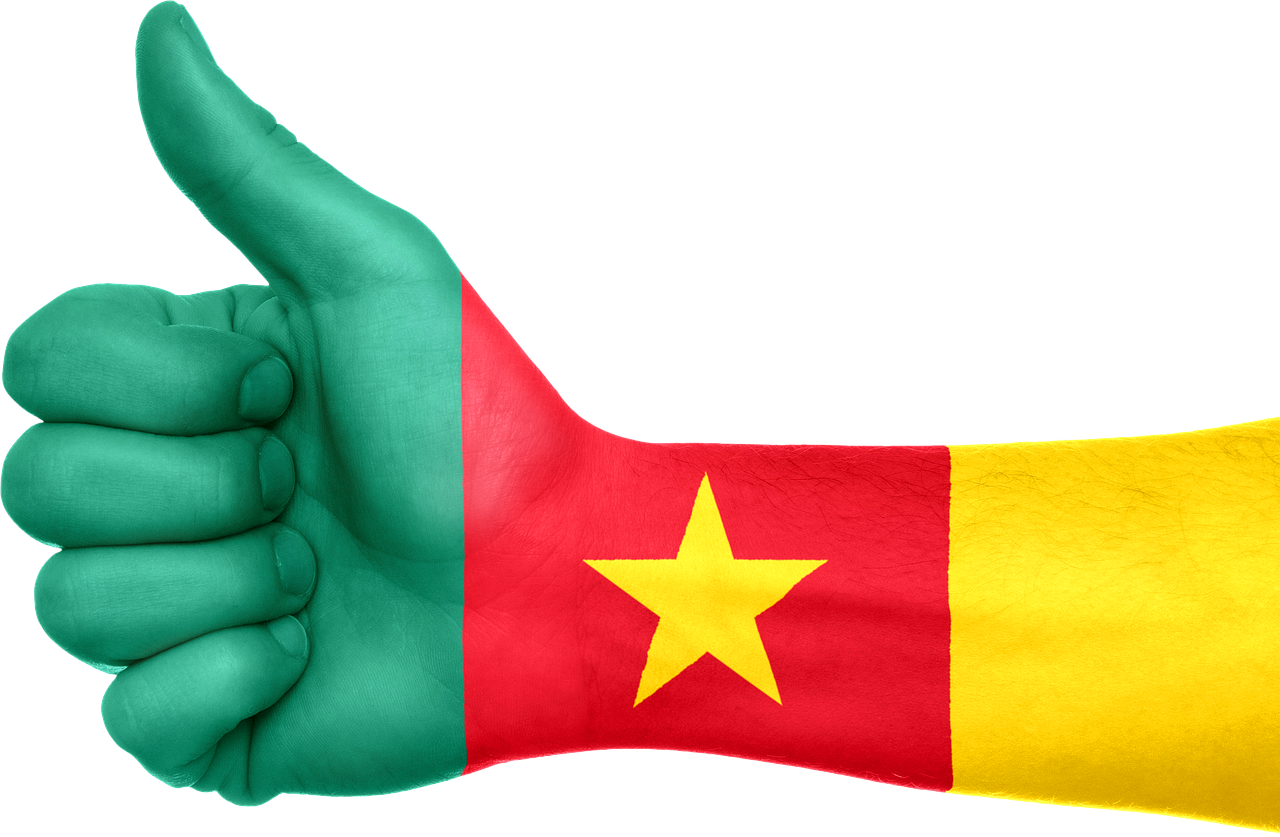 Cameroon Flag Thumbs Up Gesture PNG