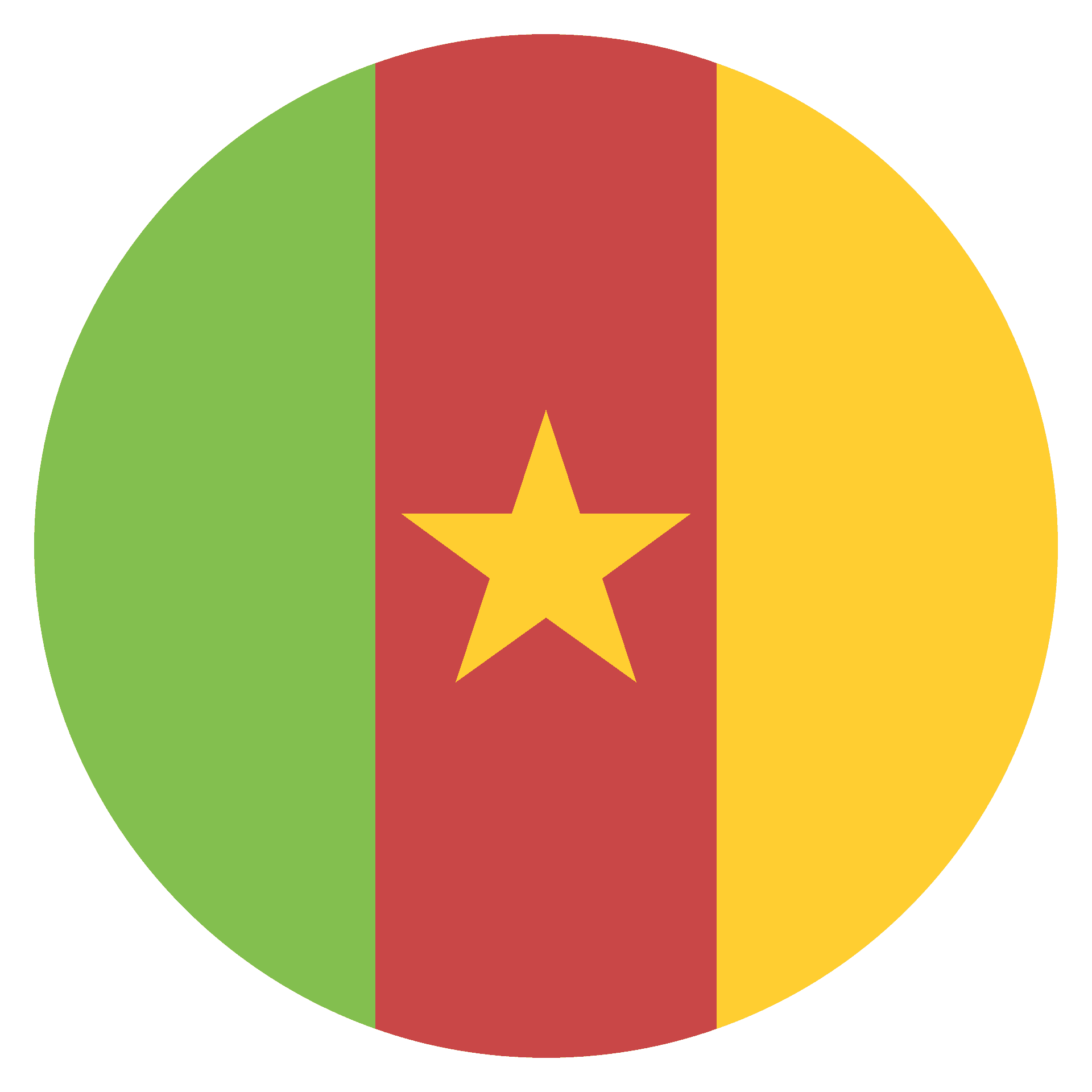 Cameroon National Flag PNG
