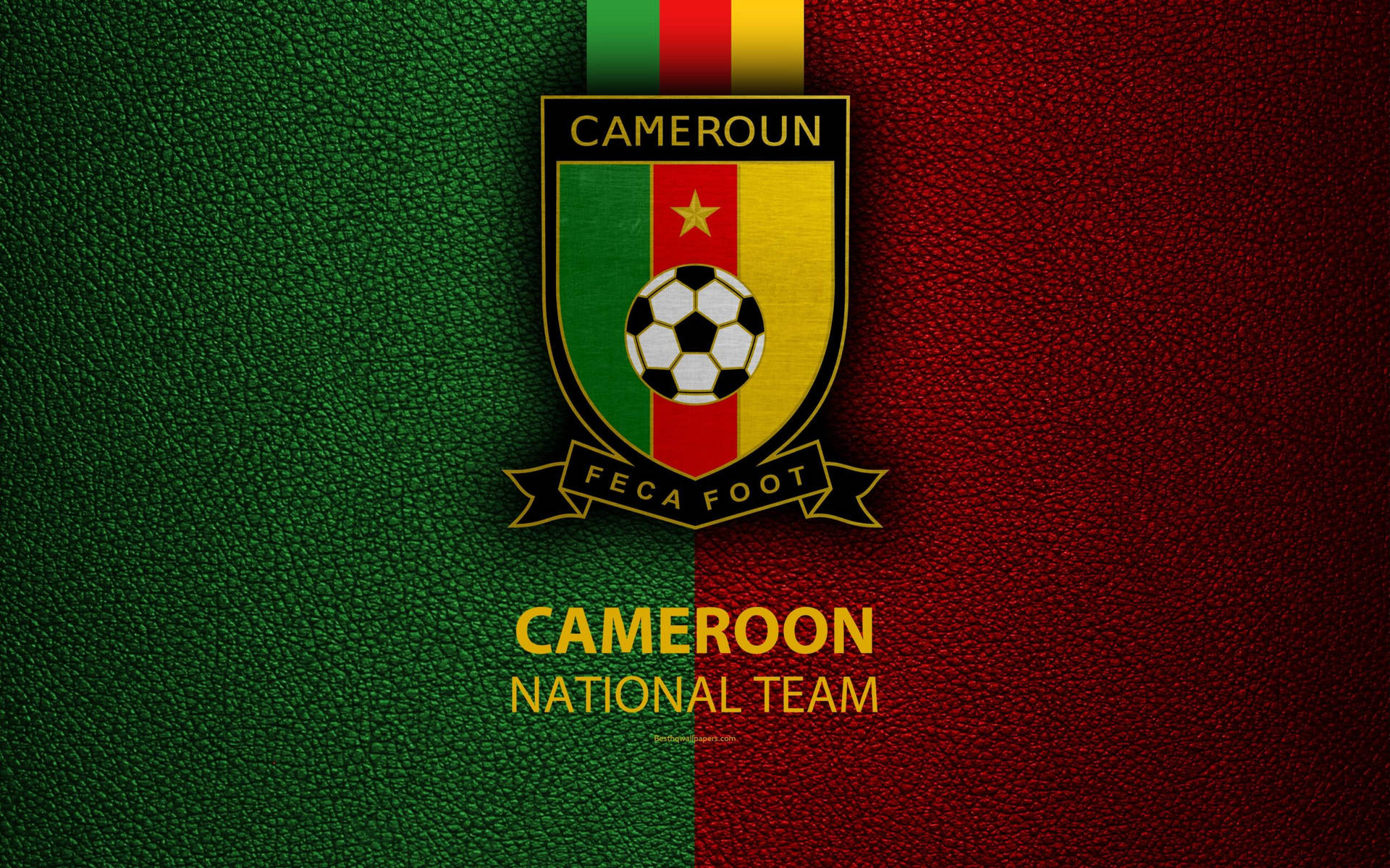 Cameroon National Football Team Flag Wallpaper