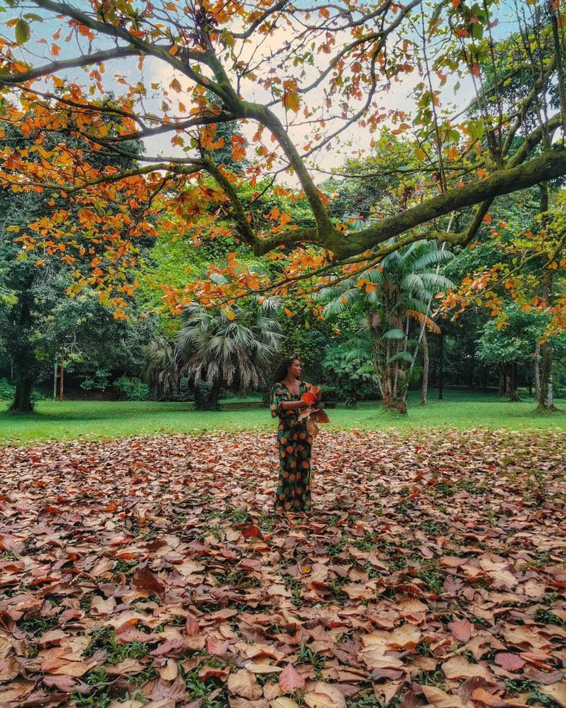 Cameroon Woman Standing Autumn Leaves Wallpaper