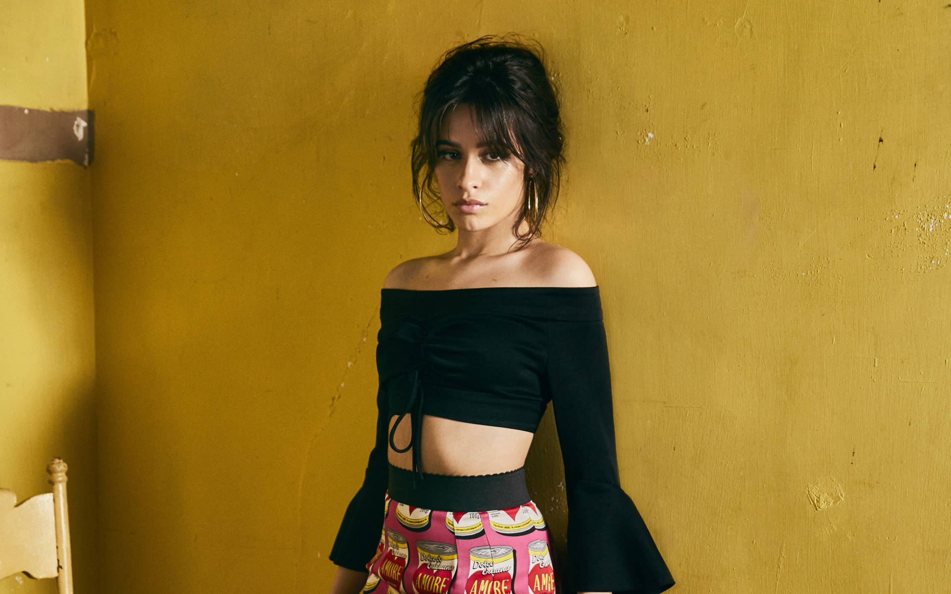 Camila Cabello Pop Artist Background