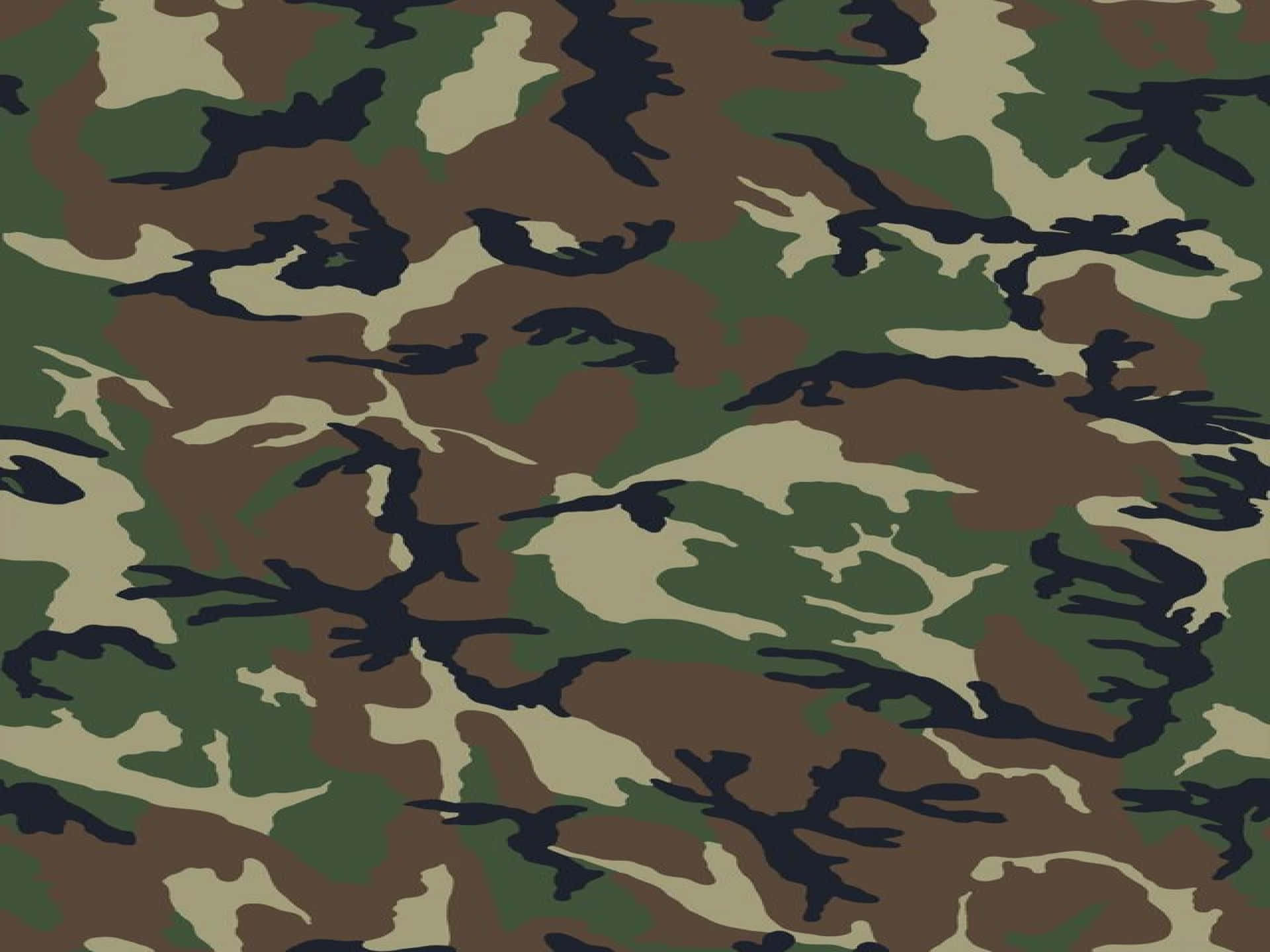 Nature-Inspired Camouflage