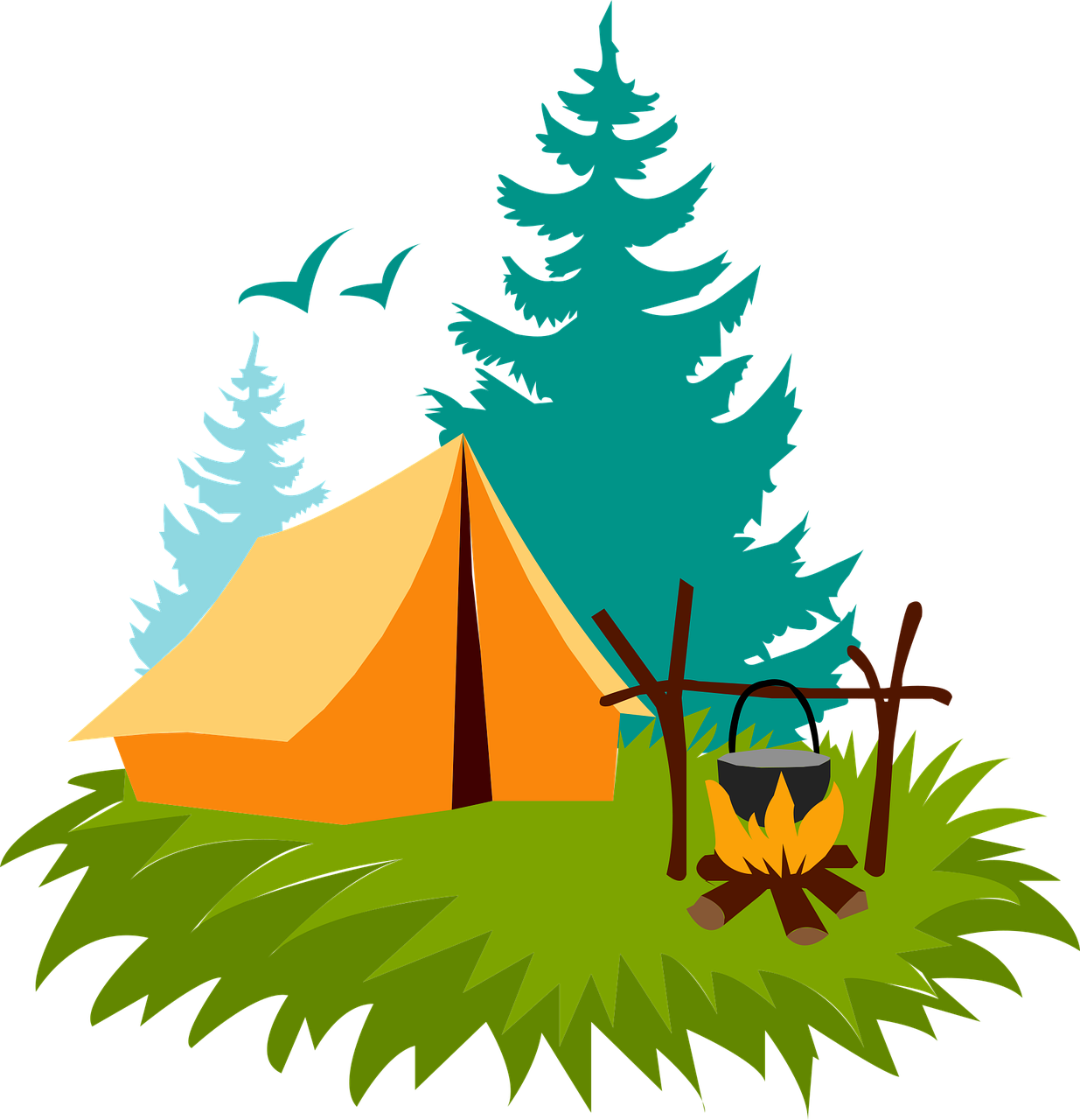 Discover the beauty of nature and explore the great outdoors through camping.