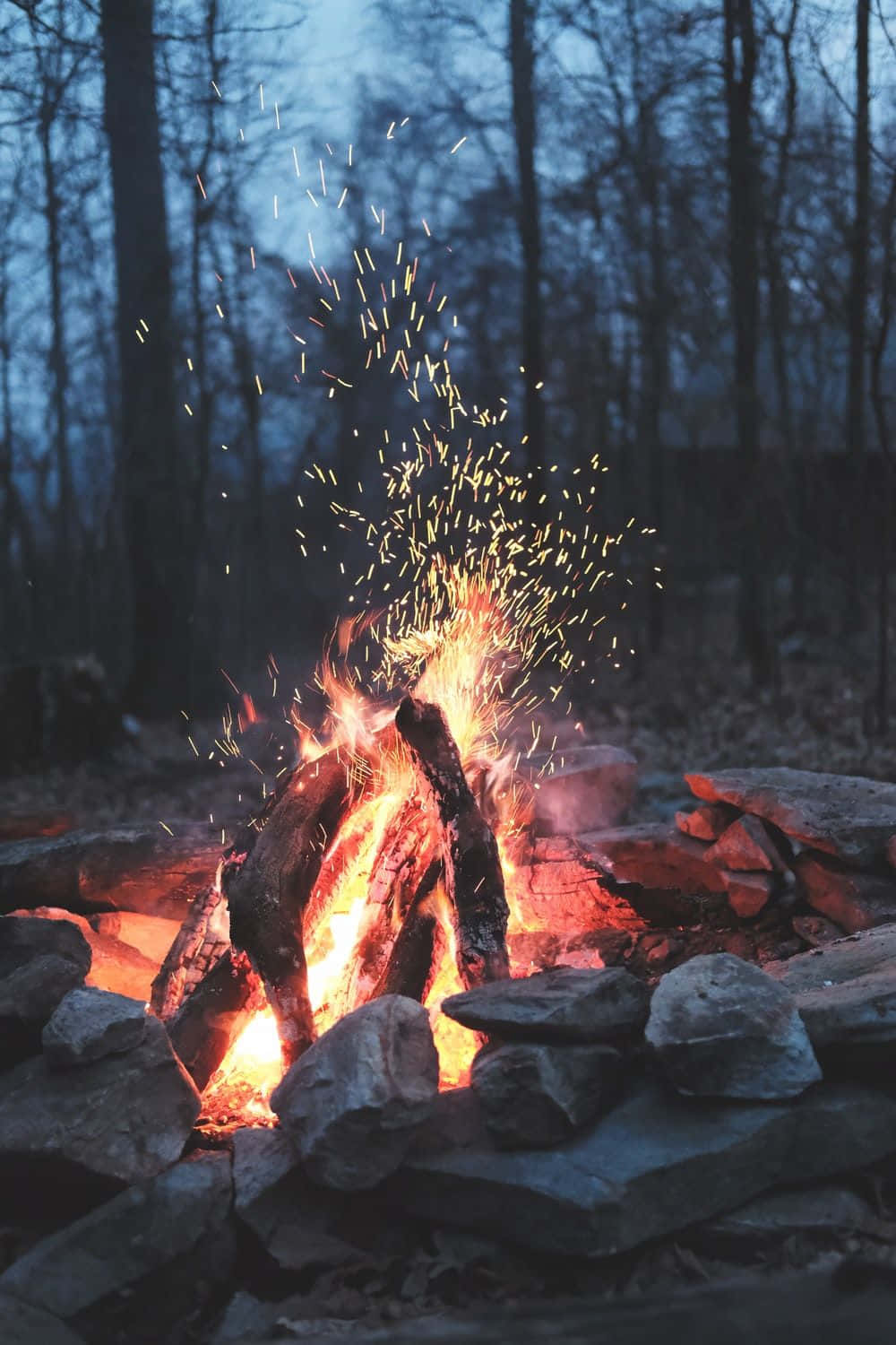 A cozy campfire under a starlit sky