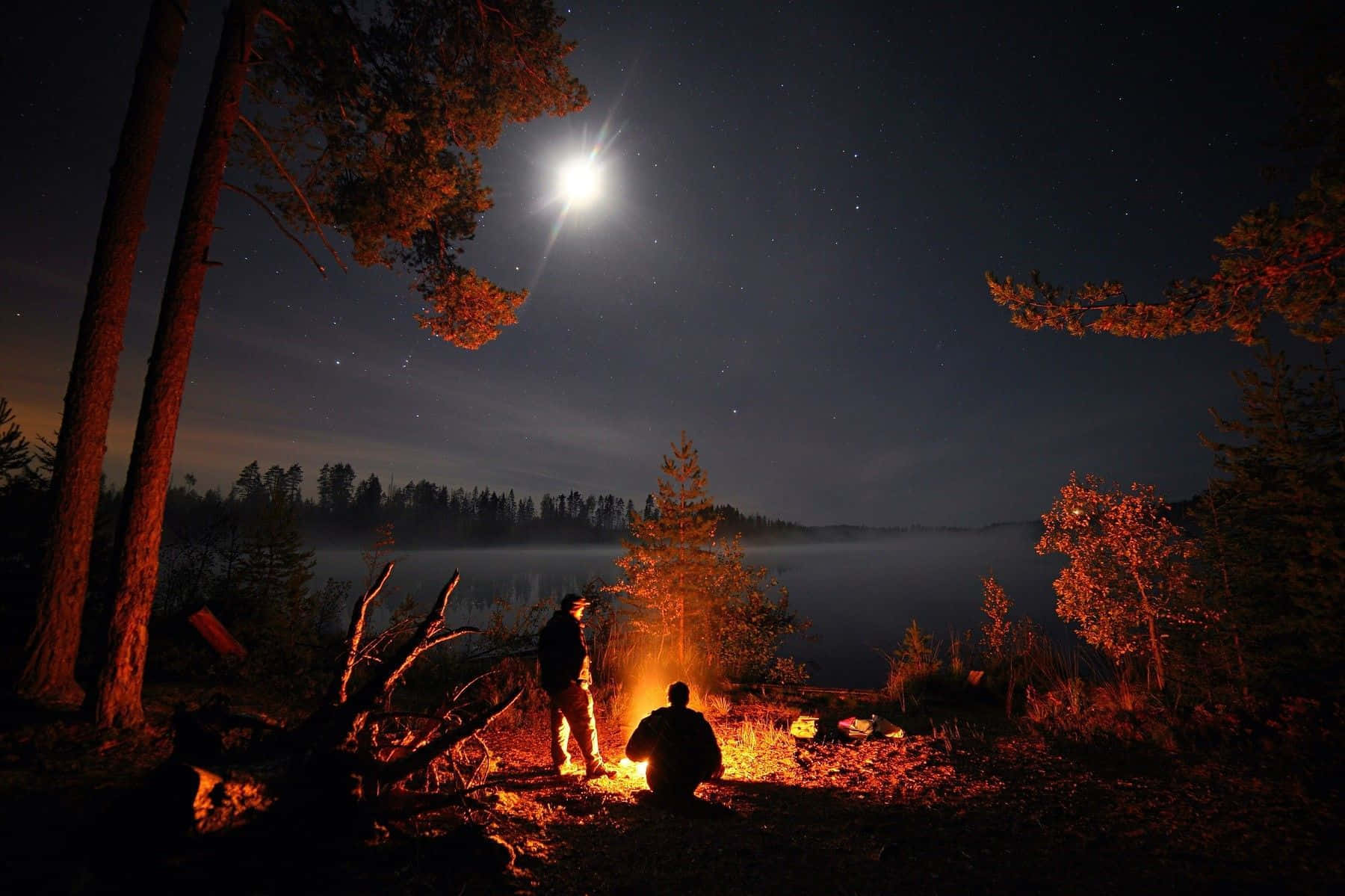 Captivating Campfire Scene