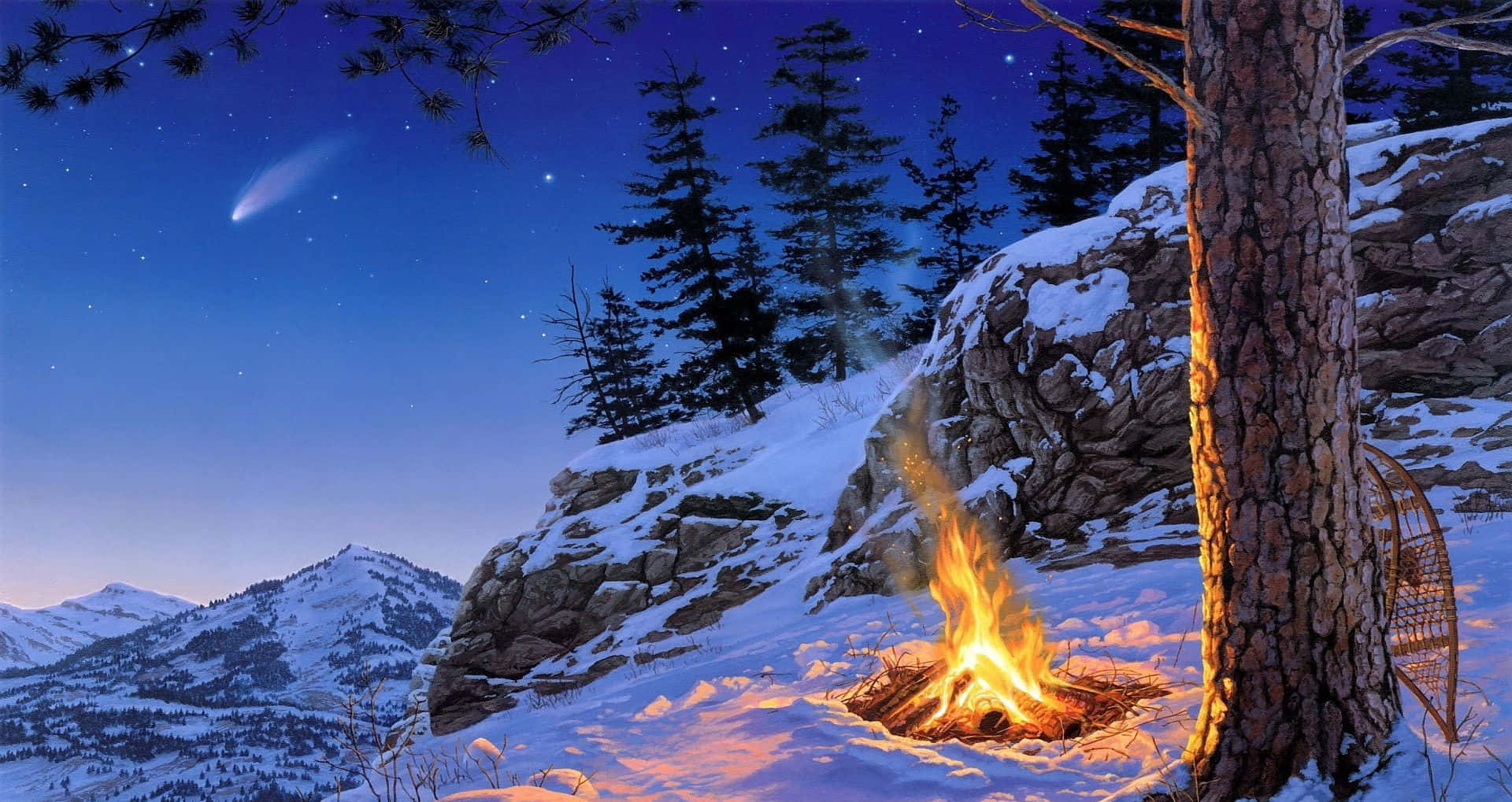 Warm and Inviting Campfire Background