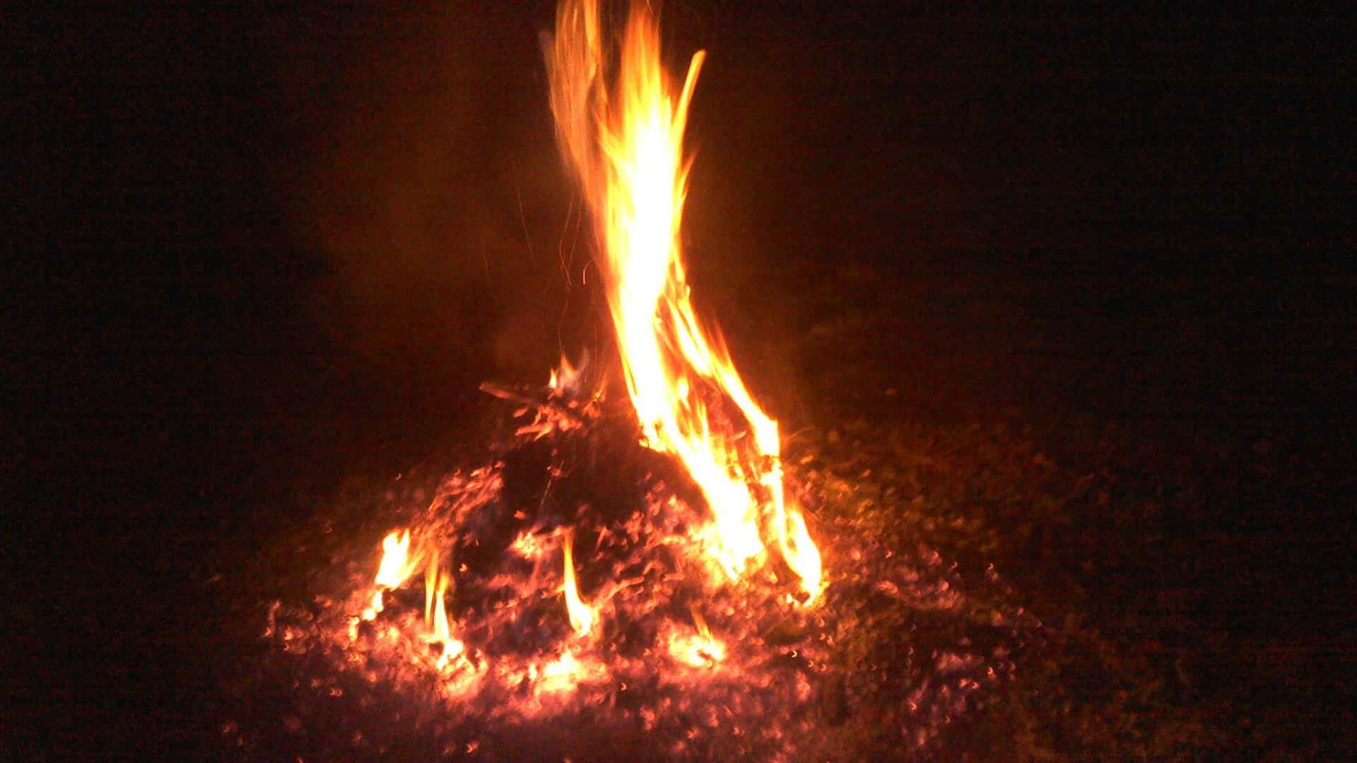 Enchanting Campfire Under a Starry Night