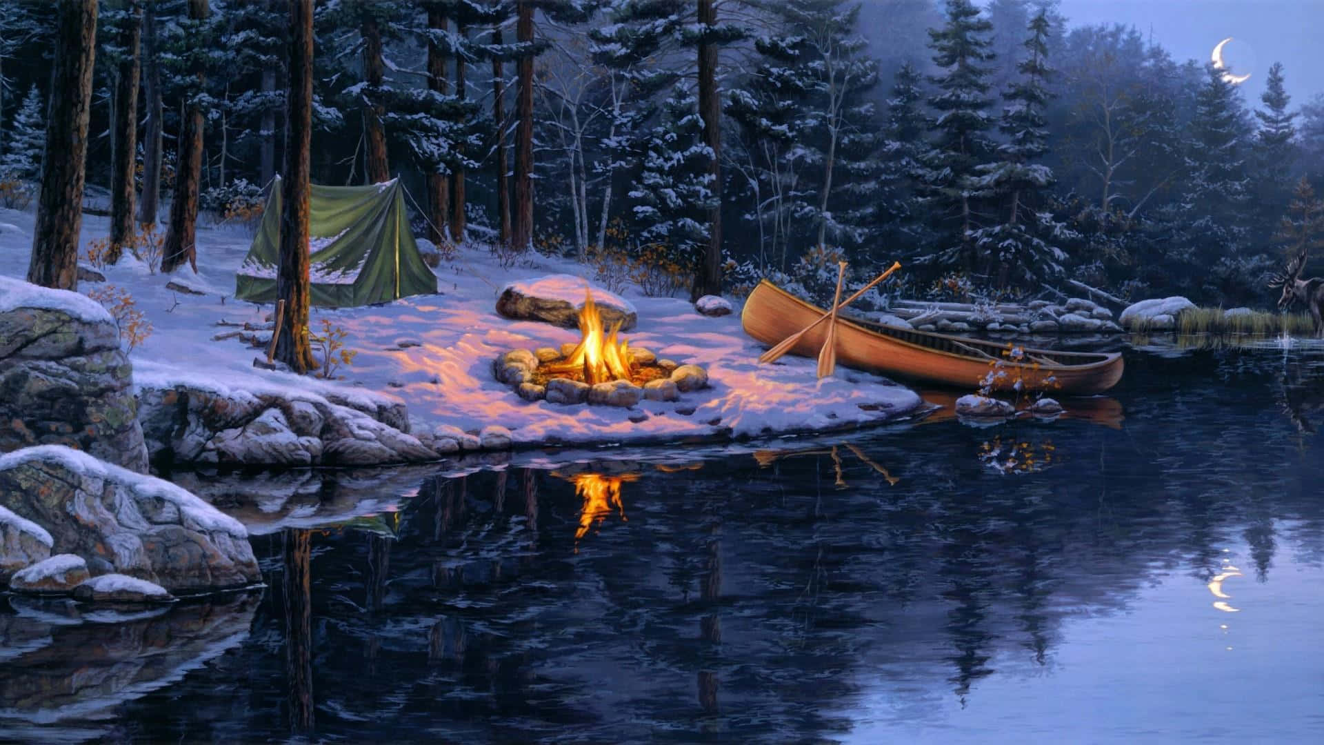 A warm and mesmerizing campfire in the middle of the wilderness