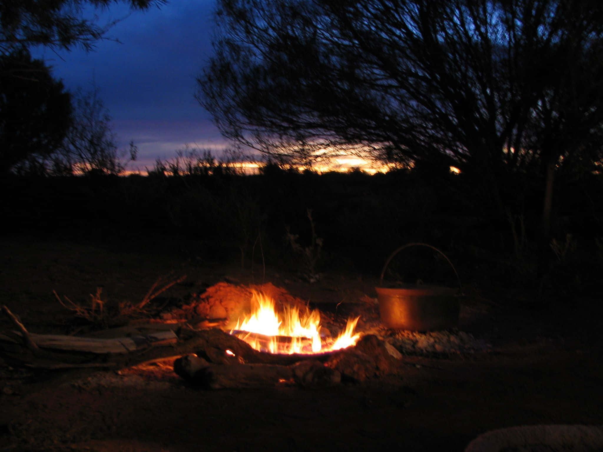 Captivating Campfire Gathering
