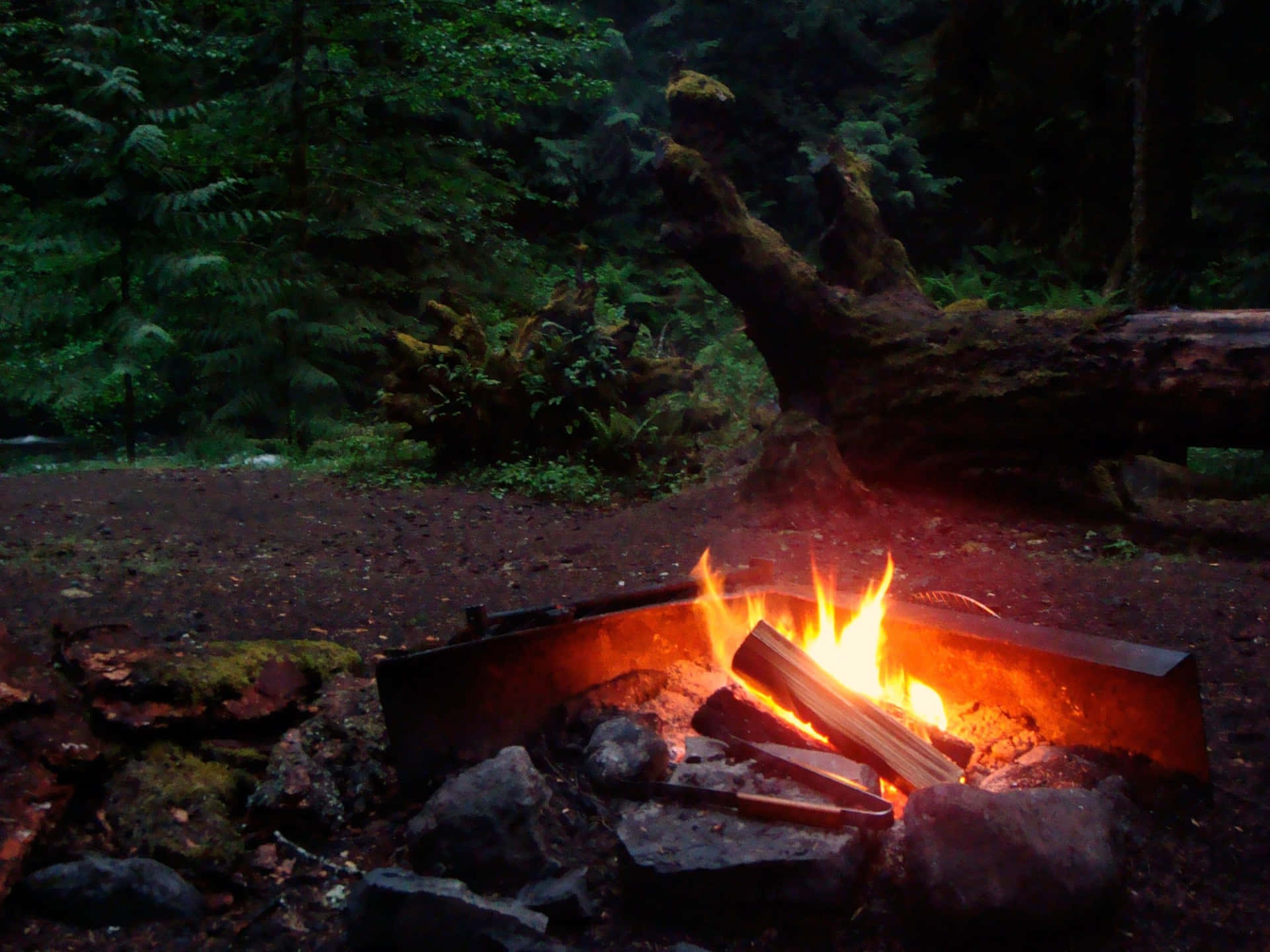 Cozy Campfire with Warm Flames