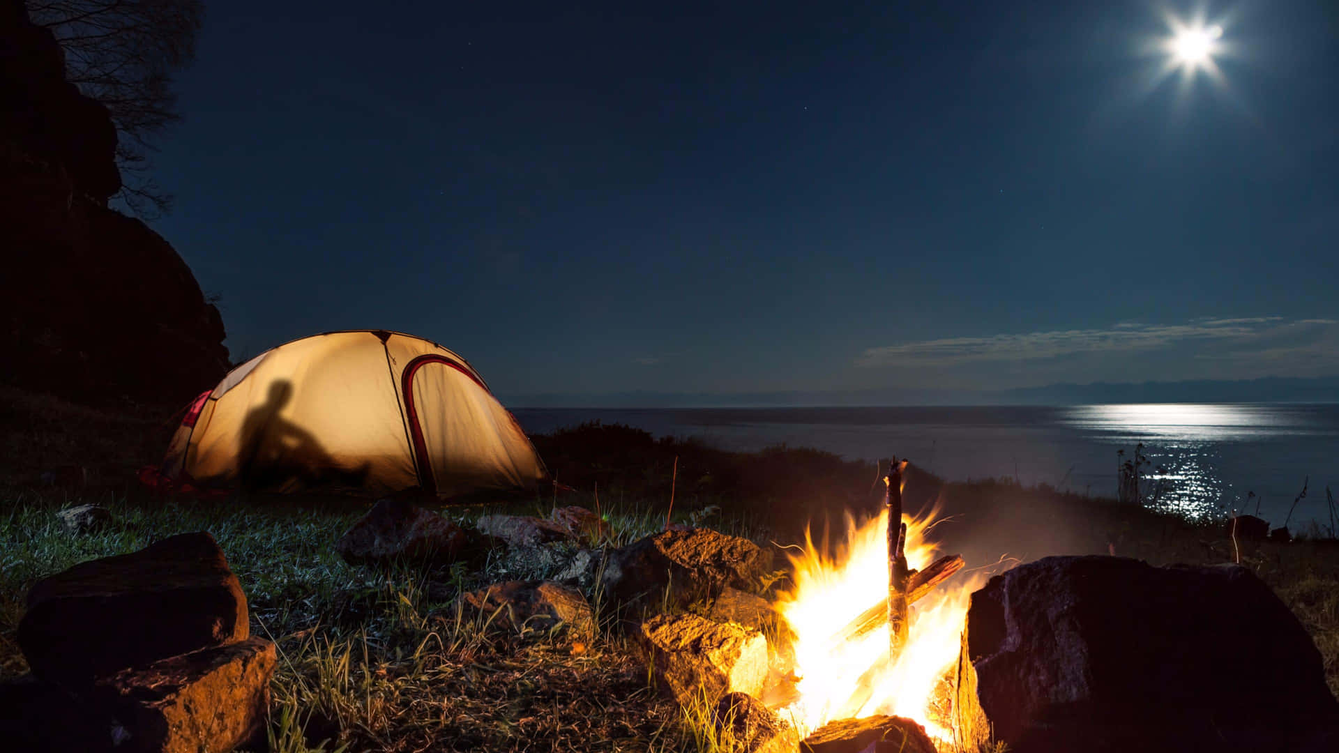 Campfire Under a Starry Night Sky