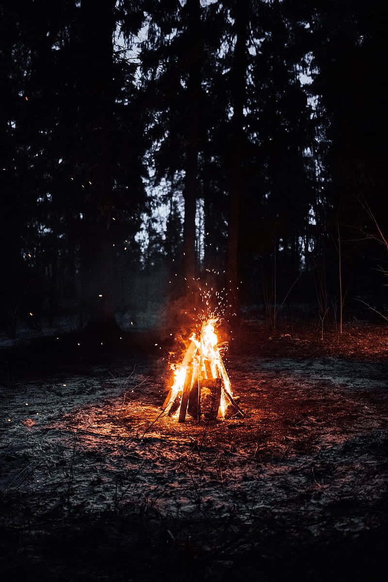 Campfire By The Forest Wallpaper