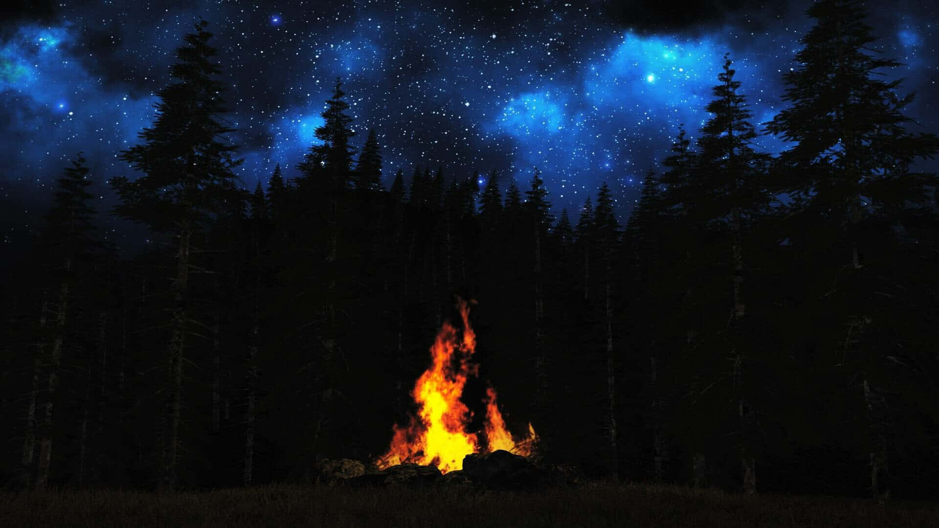 Enchanting Campfire Glowing in The Dark Wallpaper