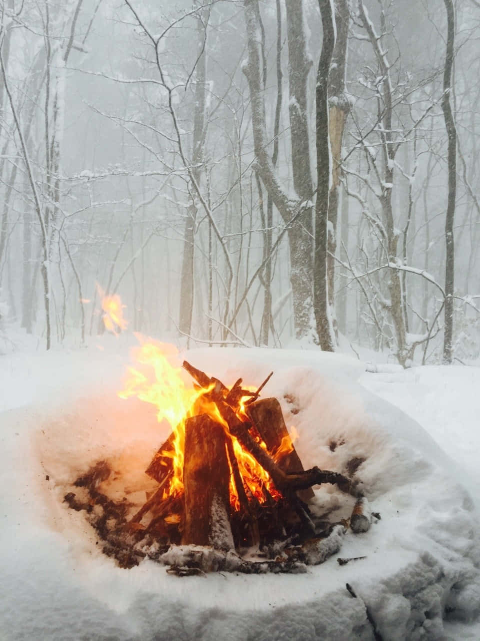 Campfire In The Woods Cozy Winter Aesthetic Wallpaper