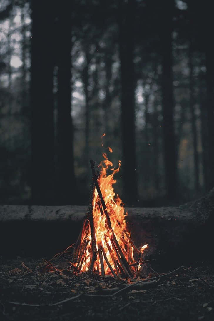 Campfirein Dark Forest.jpg Wallpaper