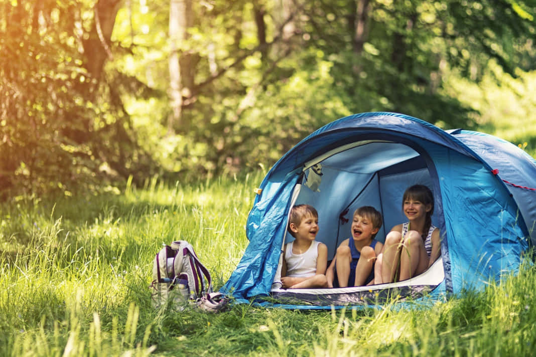 Camping for kids. Палатка на природе. Палатка летняя. Палатка лето. Палатка туристическая для семьи с детьми.