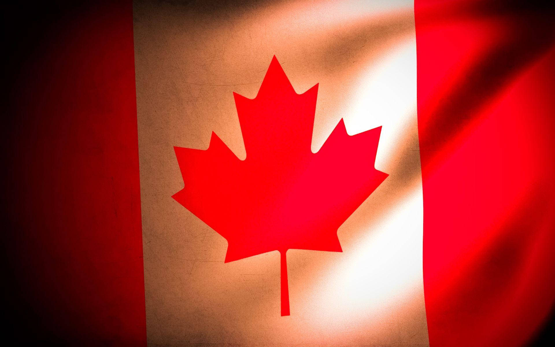 "Vibrant Canadian Flag Fluttering in the Breeze" Wallpaper