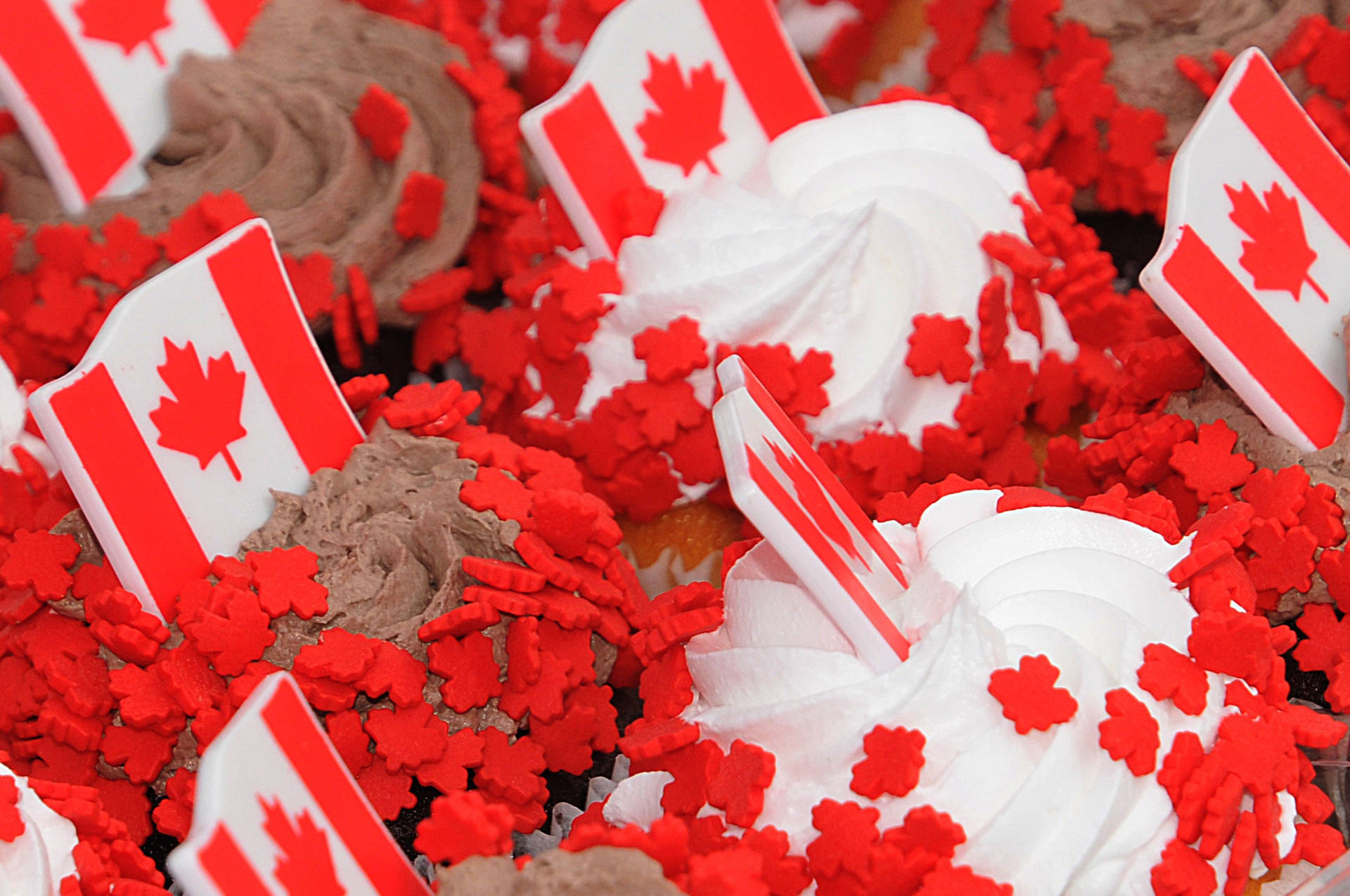 Cupcakespara El Día De Canadá. Fondo de pantalla