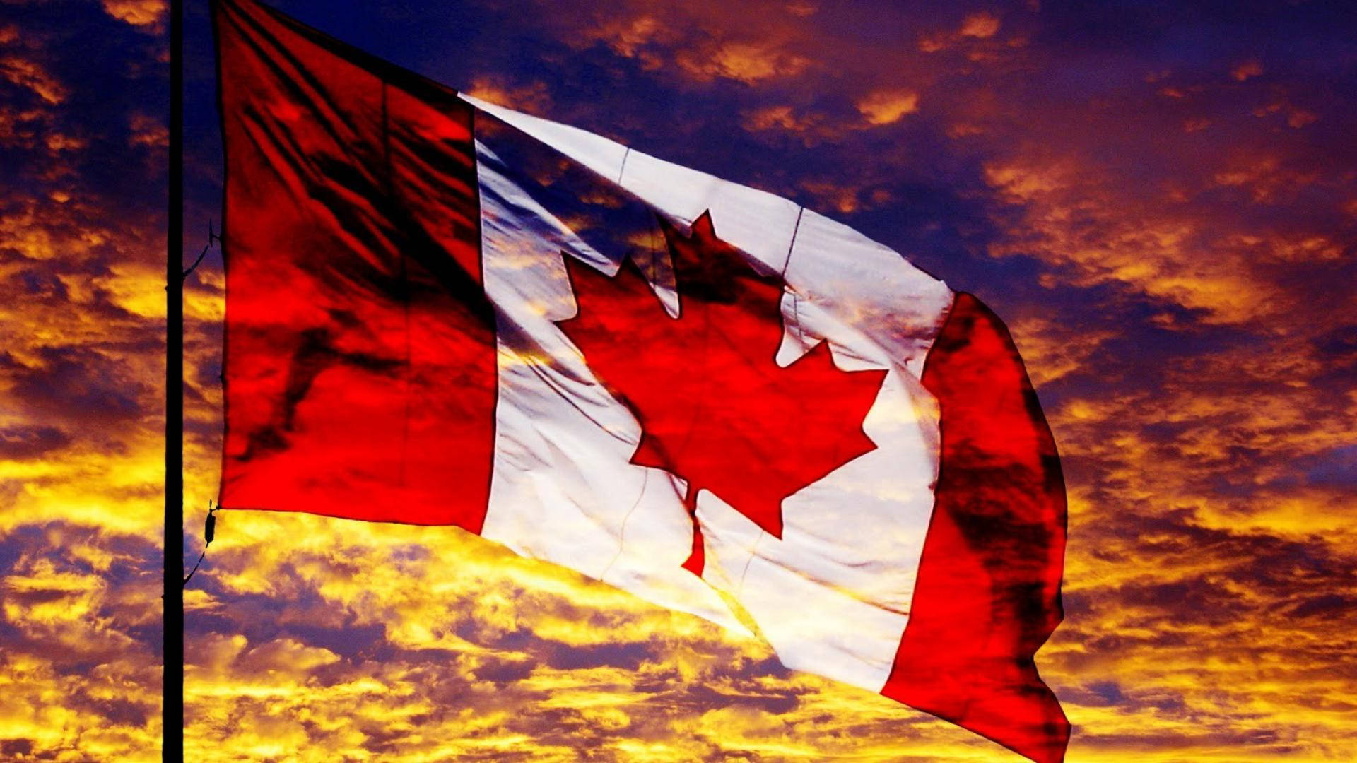 Diado Canadá Bandeira Pôr Do Sol Papel de Parede