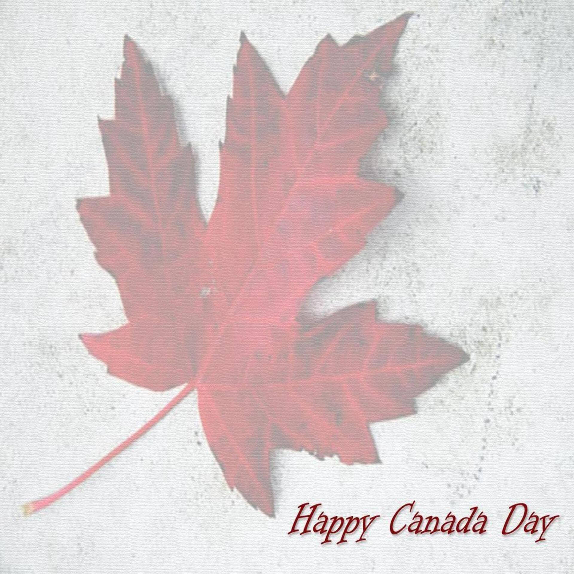 Kanadischernationalfeiertag - Ahornblatt Wallpaper