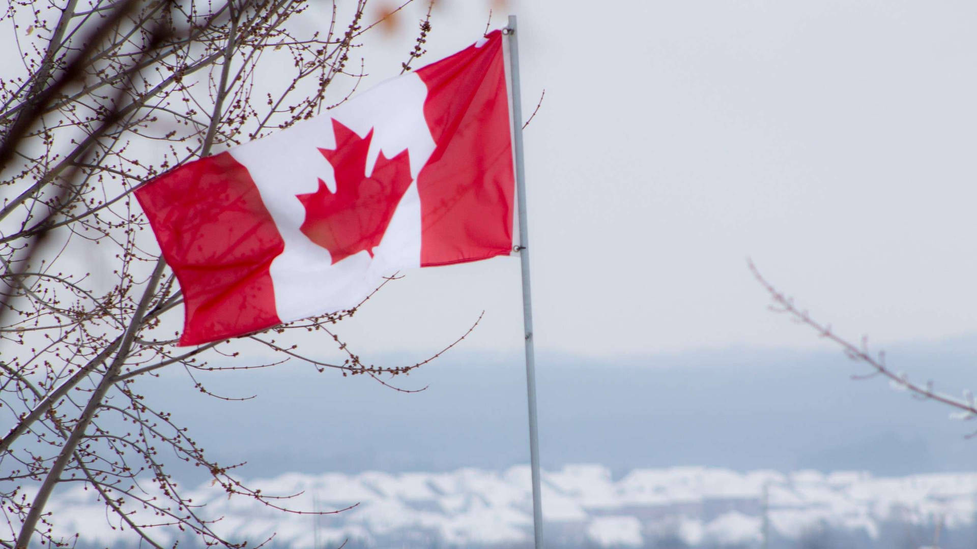 Canada Flag At Snow Wallpaper