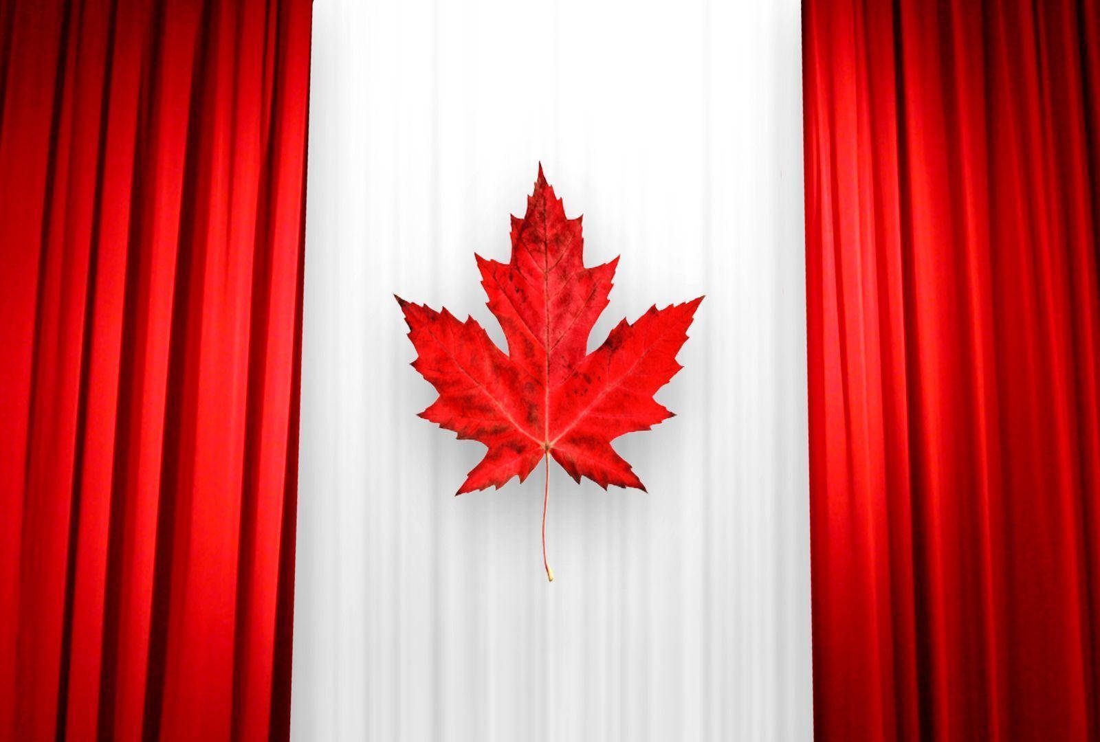 Canada Flag Curtain Wallpaper