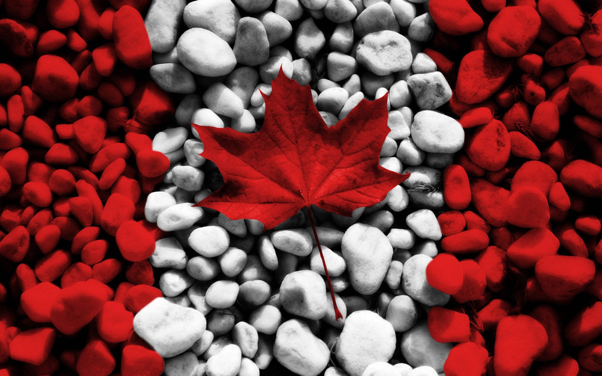 Canada Flag Maple Leaf Wallpaper