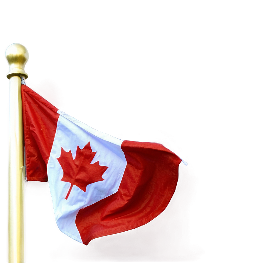 Canada Flag Maple Leaf Close-up Png 1 PNG
