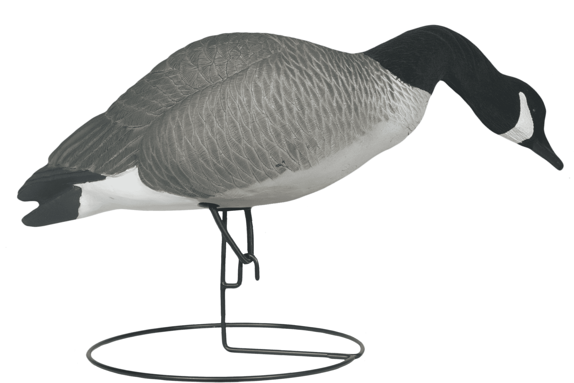 Canada Goose Decoy Stand PNG
