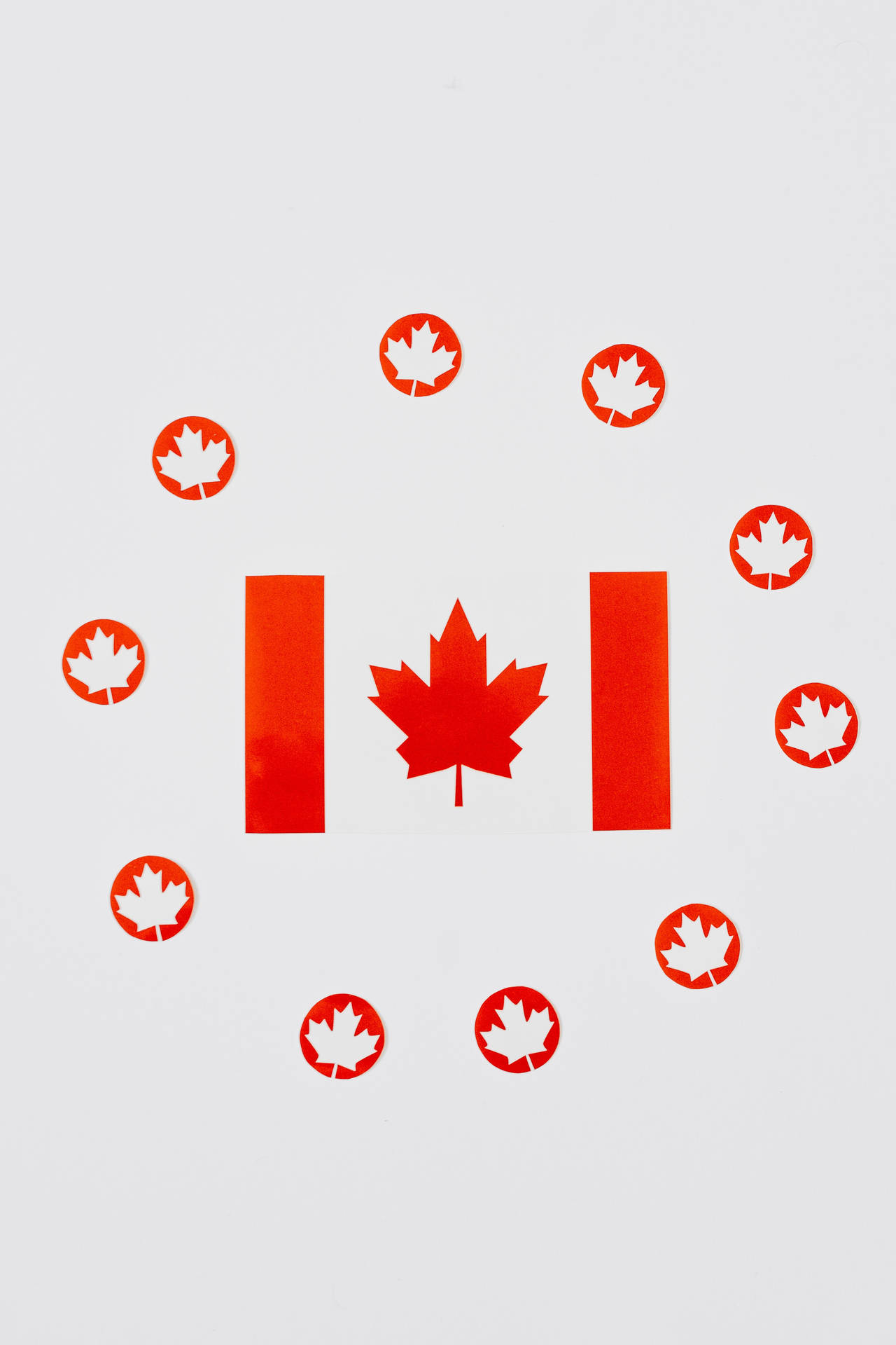 Kanadensiskflagga Lönnlöv. Wallpaper