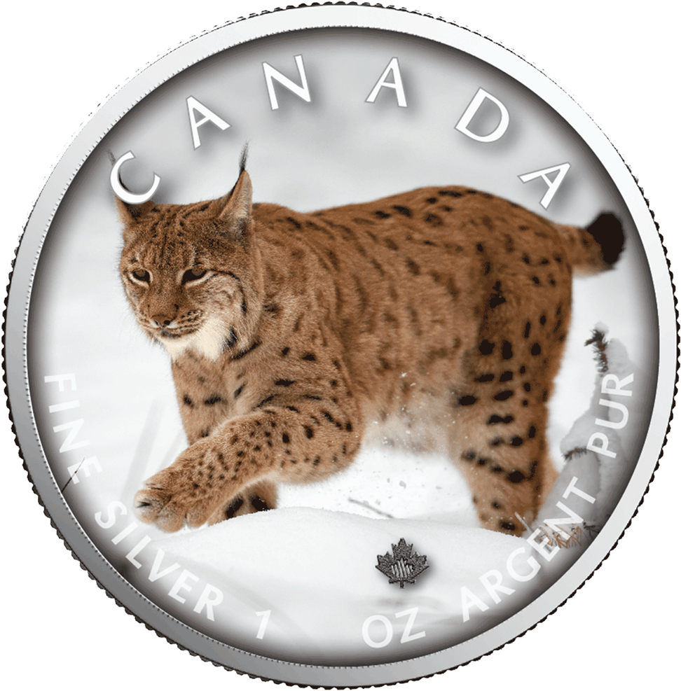 Canadian Lynx Silver Coin PNG